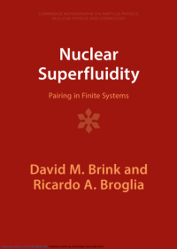 Nuclear Superfluidity (E-Book)